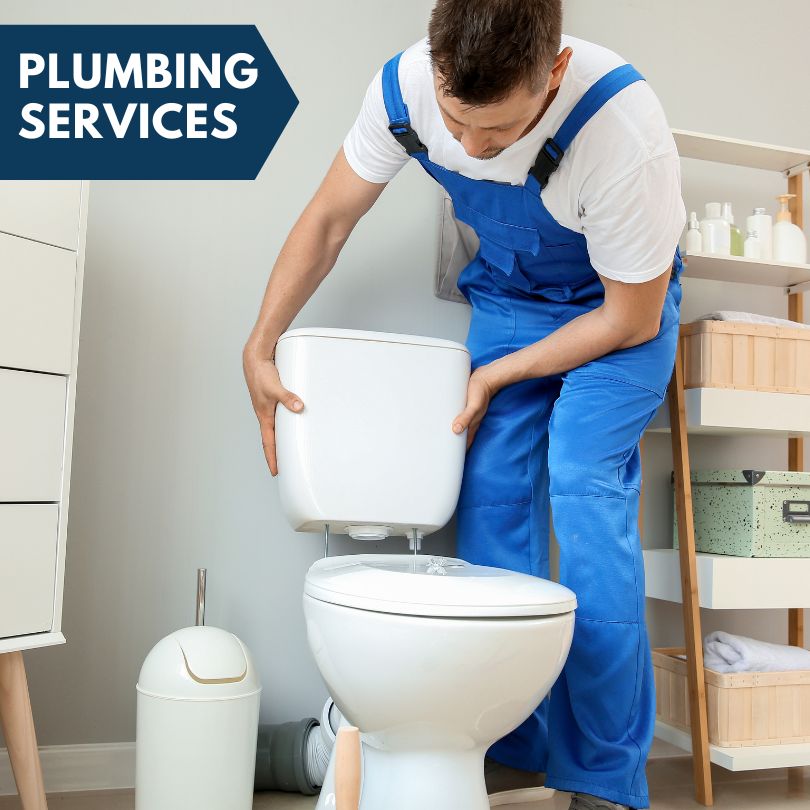 Plumbing Company in Pleasant Hill, IL